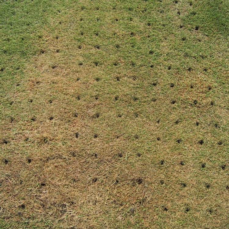 Lawn aeration, Buckinghamshire and Oxfordshire