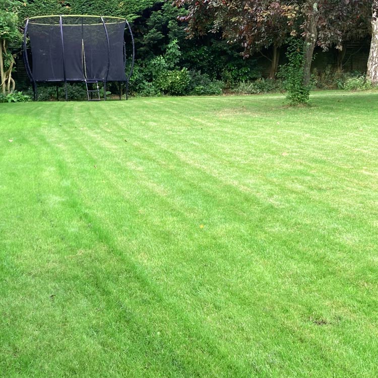 Lawn mowing, grass cutting service, Buckinghamshire and Oxfordshire