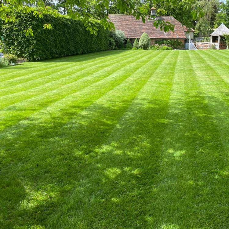 Lawn mowing, grass cutting service, Buckinghamshire and Oxfordshire