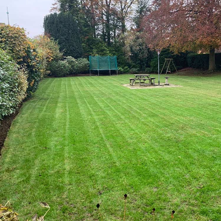 Lawn moss control, Buckinghamshire and Oxfordshire