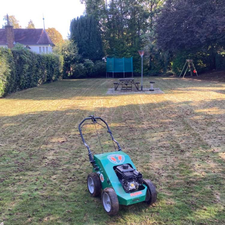 Lawn scarification, Buckinghamshire and Oxfordshire